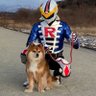 勇気の戦士ナスライガー's profile picture
