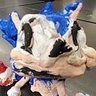 Tailsfangut2's profile picture