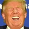 Profilbild von Captain Covfefe