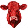 Profilbild von RedCowNewz