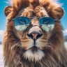 yan's profile picture