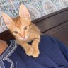 Tajïnié profil fotoğrafı
