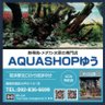 AQUASHOPゆう (アクアショップ ゆう) 的头像