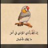 منصور الهلالي💙🤍 profil fotoğrafı