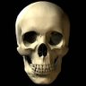 Papabear7398's profile picture