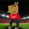 Gutshesho's profile picture