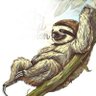 Musclecubjr's profile picture