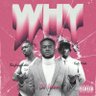 #WHY 的头像