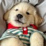 Luv_sn profil fotoğrafı