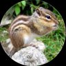 ぺんすてもん's profile picture