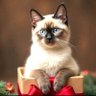 🌹عبير جمال🌹 profil fotoğrafı