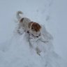 LuckyLady's profile picture
