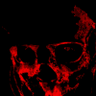 Enenra 𝕏 AKA Watchthesmoke 𝕏's profile picture