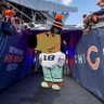 southside bear's profile picture