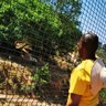Sifiso profil fotoğrafı