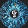 DynooTrades profil fotoğrafı