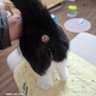 Фото профиля 뭐라할까..