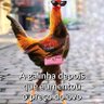 Фото профиля Souza