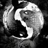 CeHun's profile picture