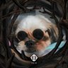 miss_patatas's profile picture