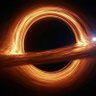 QuantumQuokka's profile picture