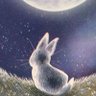 silverrabbit-moon 的头像