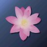 千早愛音 profil fotoğrafı