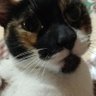 Profilbild von diego