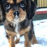 Bernie's profile picture