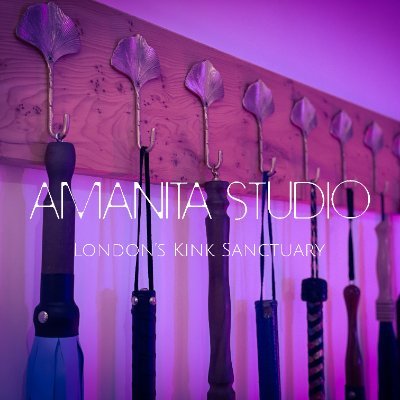 Amanita Studio's profile picture