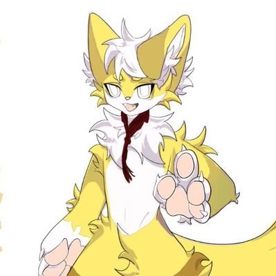 ovo763596527260's profile picture