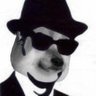 Elwood Fella profil fotoğrafı
