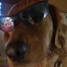 Profilbild von OshBMW