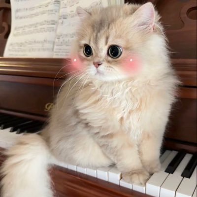 ʏᴀʏᴀʏᴇᴇ⋆☻ ˚༘'s profile picture