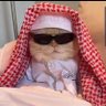 YA SHEIKH 的头像