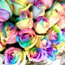 Фото профиля Ruruka_rose