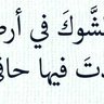 Profilbild von الَمَصٌريِّ