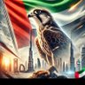 Mohamed araeesi's profile picture