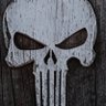 Profilbild von The Punisher (Grok says so)