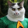 Profilbild von RandomAtom
