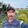 Profilbild von Mohamed Aboshosha