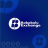 BababoluExchange 📊's profile picture