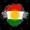 ROJAVA 🌞 profil fotoğrafı