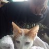 Bogusław ***** *** . profil fotoğrafı