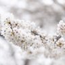 Фото профиля ベテラン投資家池ちゃん2000