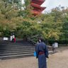 Фото профиля てるゆき