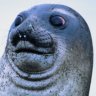 Profilbild von Mlepclaynos