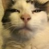 Profilbild von sum duud