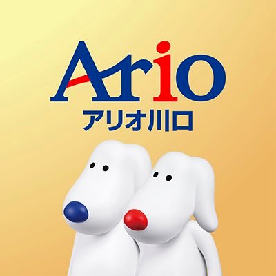 kawaguchi_ario's profile picture