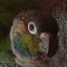 BurdPoop 的头像